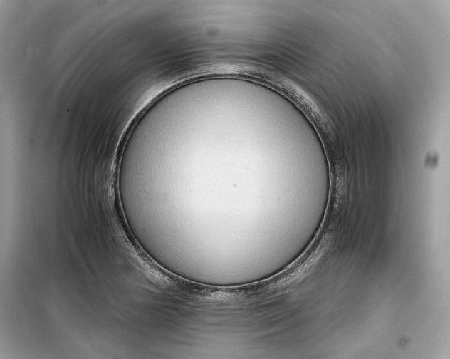 X0000099291178200805231314