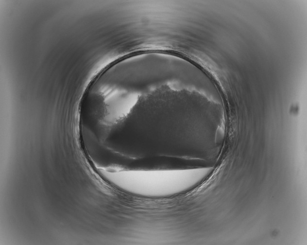 X0000099291179200805231314