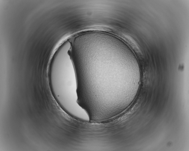 X0000099291180200805231314