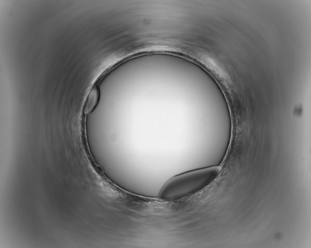 X0000099291181200805231314