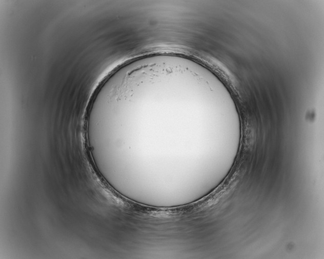 X0000099291182200805231314