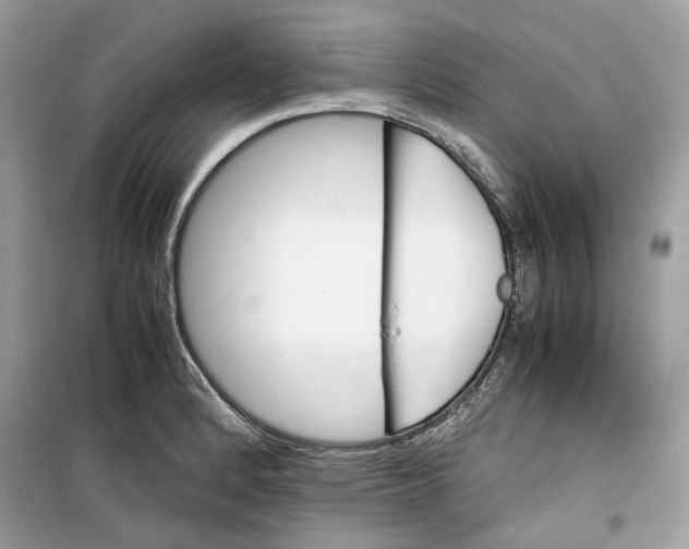 X0000099291184200805231314