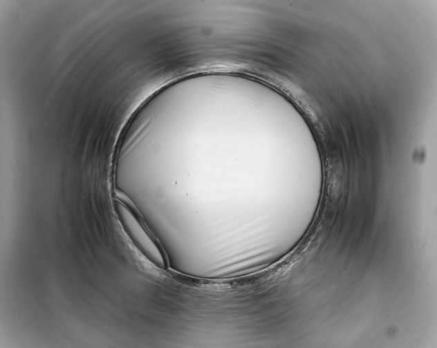 X0000099291186200805231314