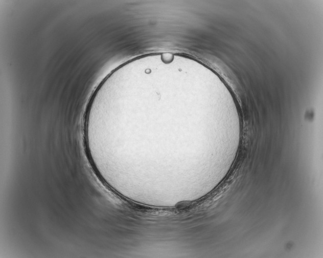 X0000099291187200805231314