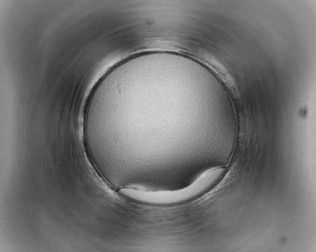 X0000099291188200805231314