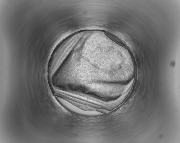 X0000099291189200805231314