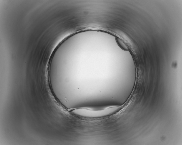 X0000099291190200805231314