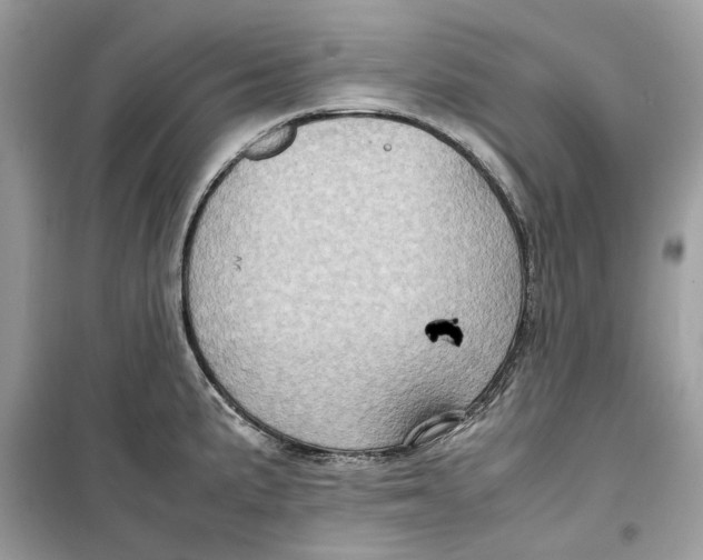 X0000099291191200805231314