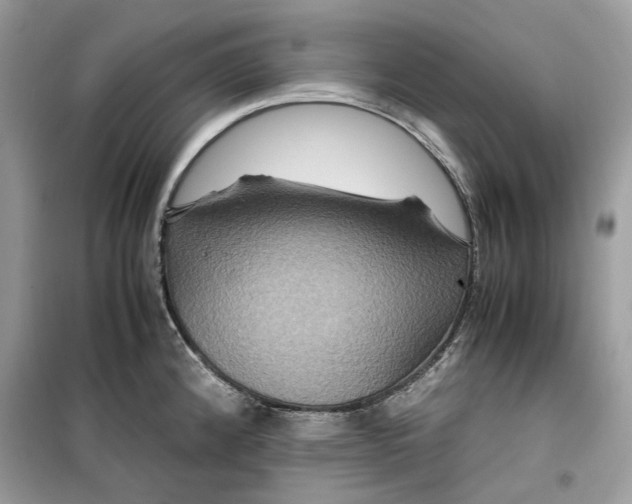 X0000099291192200805231314