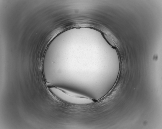 X0000099291193200805231314