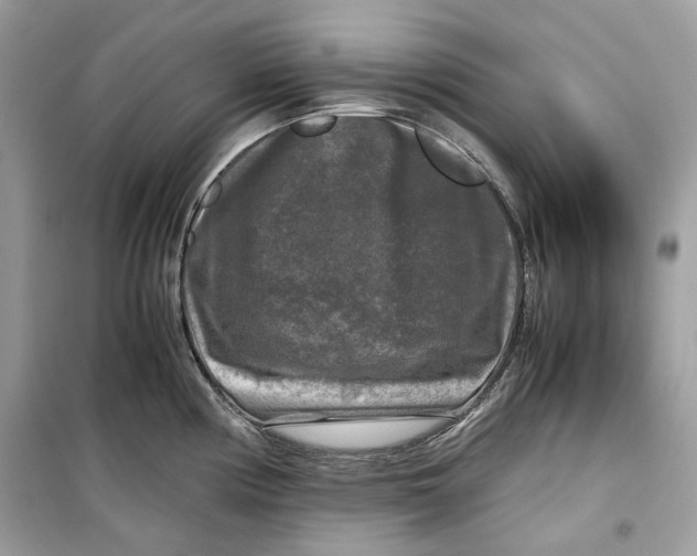 X0000099291194200805231314