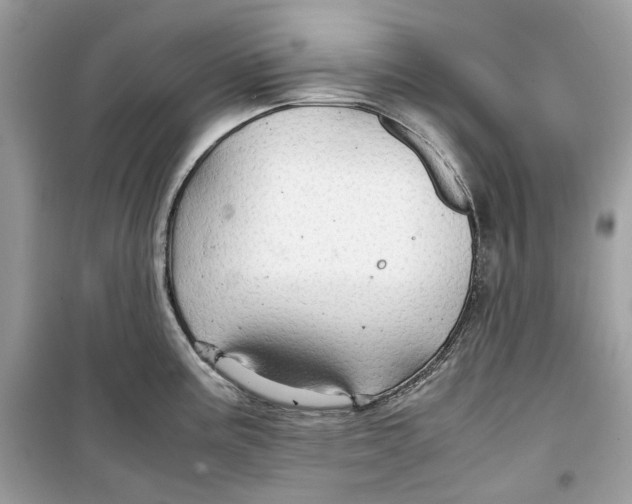 X0000099291195200805231314