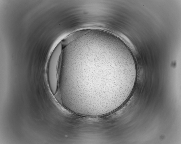 X0000099291196200805231314