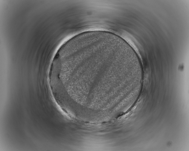 X0000099291197200805231314