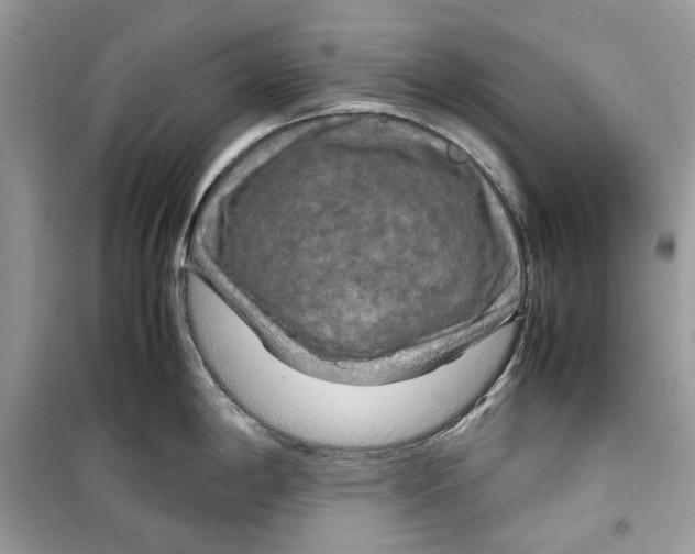 X0000099291198200805231314