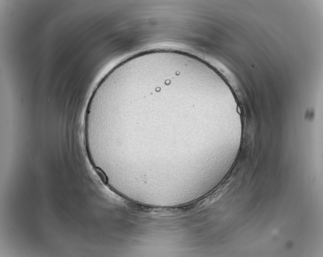 X0000099291199200805231314