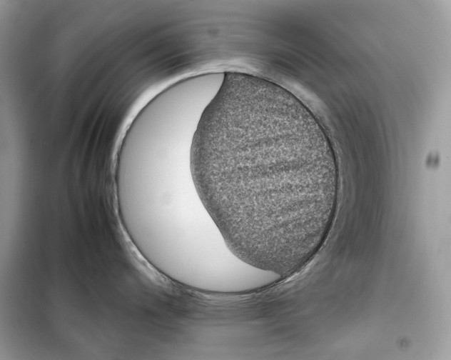 X0000099291200200805231314