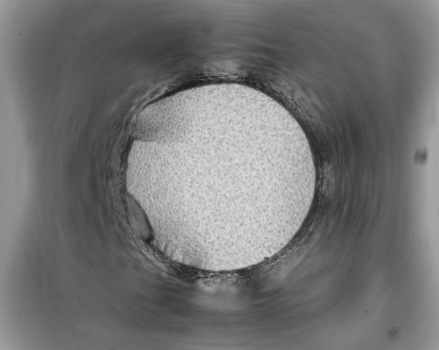 X0000099291201200805231313