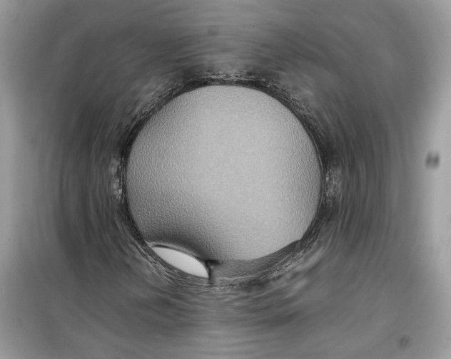 X0000099291202200805231313