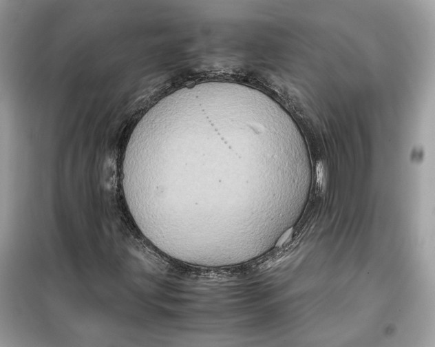 X0000099291203200805231313