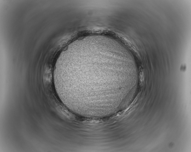 X0000099291204200805231313