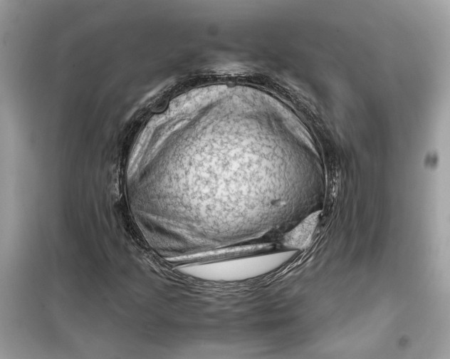 X0000099291205200805231313