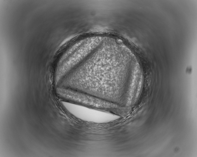 X0000099291206200805231313