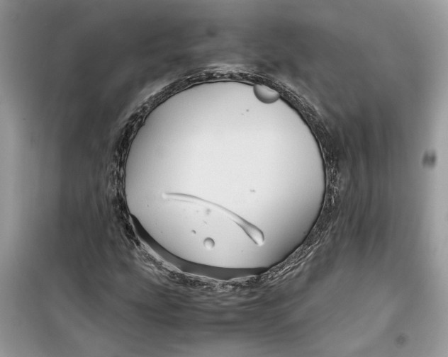 X0000099291207200805231313