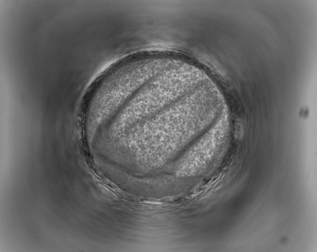 X0000099291208200805231313