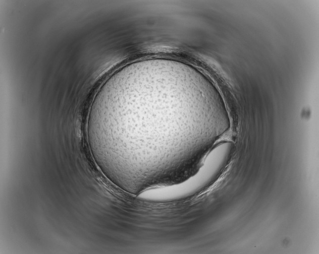 X0000099291209200805231313