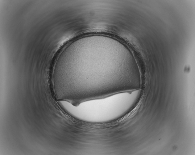 X0000099291210200805231313