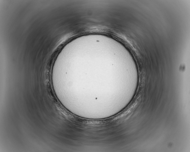 X0000099291211200805231313