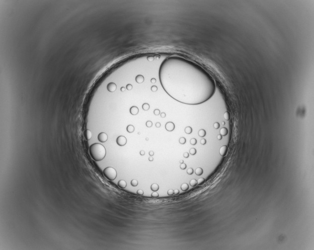 X0000099291212200805231313