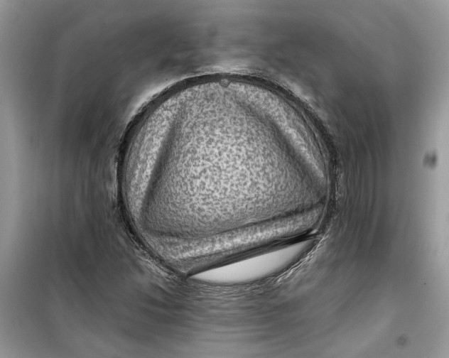 X0000099291214200805231313