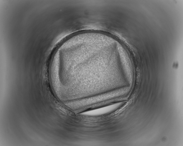 X0000099291215200805231313