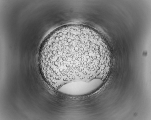 X0000099291216200805231313