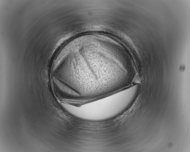 X0000099291218200805231313