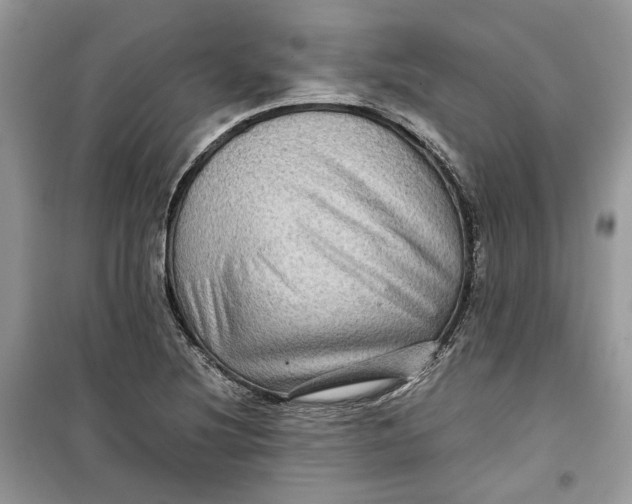 X0000099291220200805231313