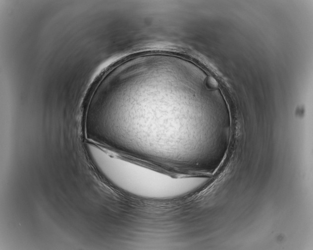 X0000099291222200805231313