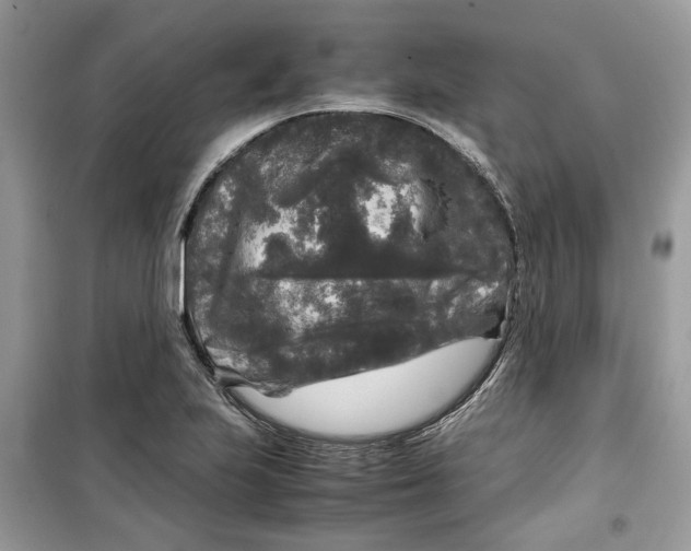 X0000099291223200805231313