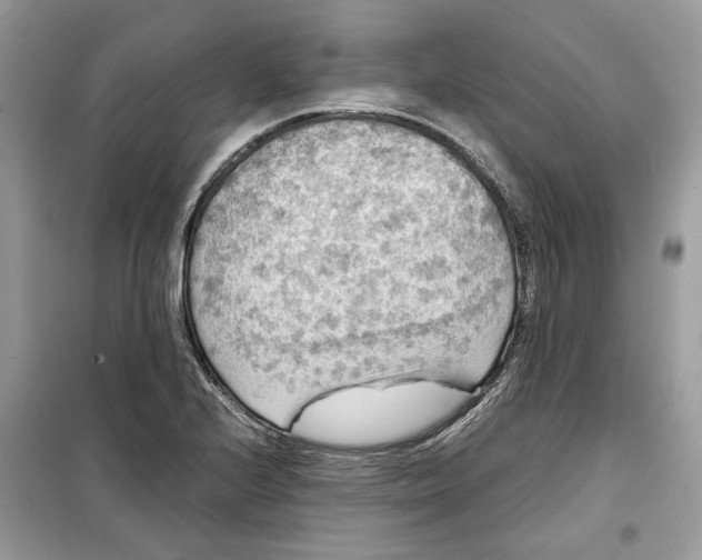 X0000099291224200805231313