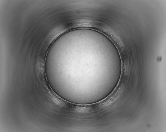 X0000099291225200805231313