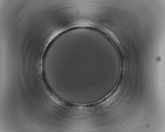 X0000099291226200805231313