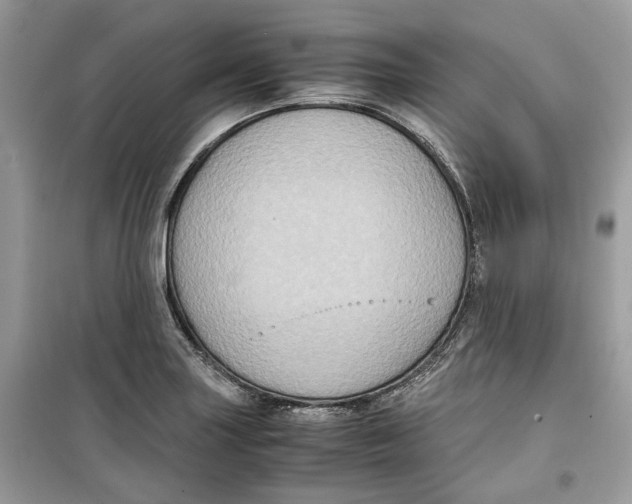 X0000099291227200805231313