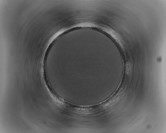 X0000099291229200805231313