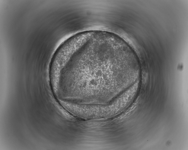 X0000099291230200805231313