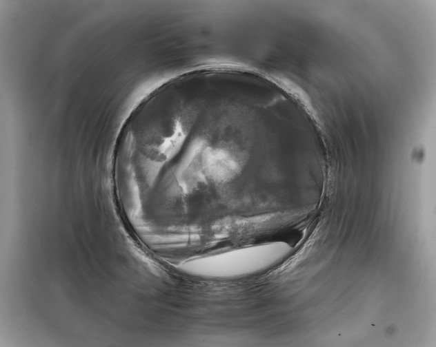 X0000099291231200805231313