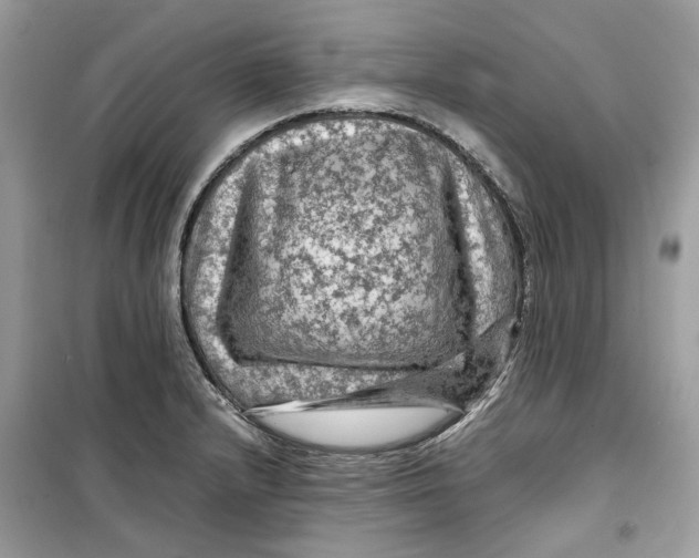 X0000099291232200805231314