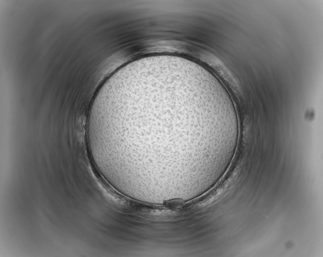 X0000099291233200805231314