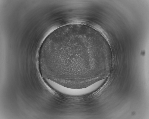 X0000099291235200805231314